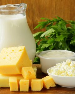 **Cow Dairy Bundle**