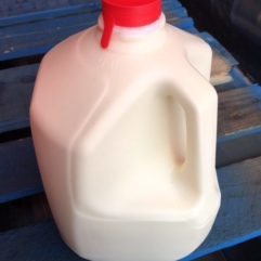 Cow’s Milk – A2/A2 – Plastic
