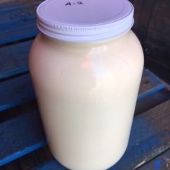 Cow’s Milk – A2/A2 – Glass