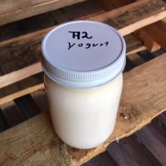On Sale – Cow Yogurt – A2/A2 – Glass – min 5 units
