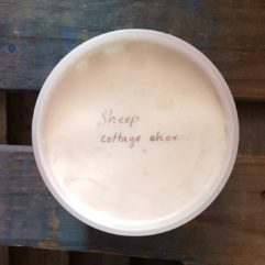 Sheep Cottage Cheese – A2/A2 – PINT