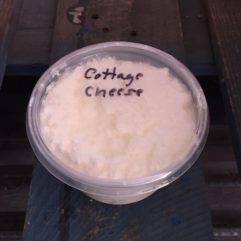 Cottage Cheese – plastic – PINT