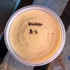Frozen 1 lb Cow Butter-A2/A2-Salted