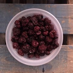 Fresh Black Raspberries – PINT