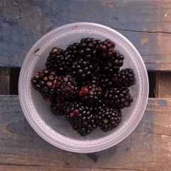 Blackberries – fresh – PINT