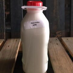 Sale-Buffalo Milk-Fresh-GLASS-min 2