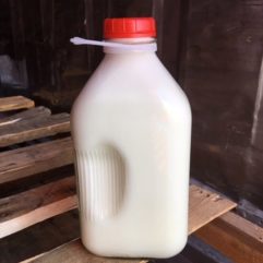 Cow’s Milk – A2/A2 – Glass