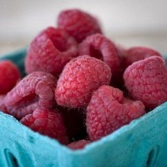 Fresh Red Raspberries