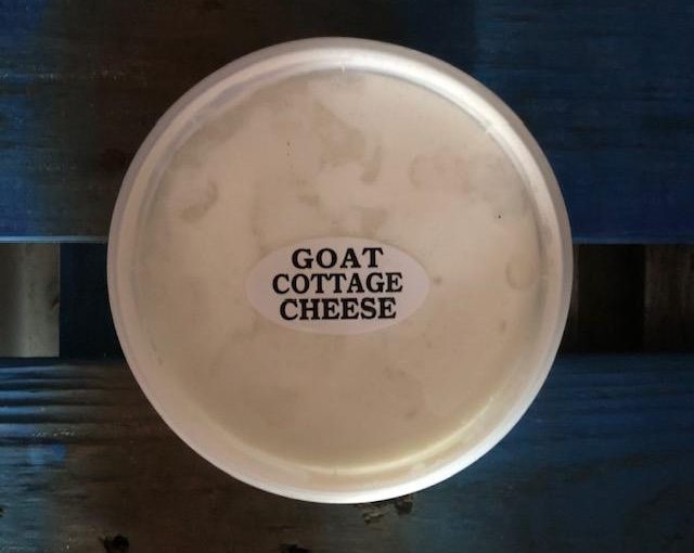 Goat A2/A2 – Cottage Cheese – NO SALT – PINT