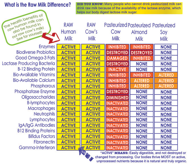 Raw Milk vs. Pasteurized: This is What Happens When You Don't