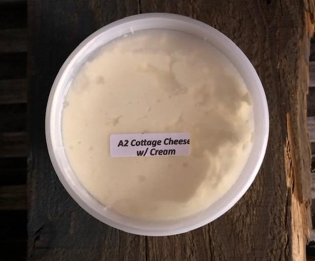 Cottage Cheese – A2/A2 – PINT
