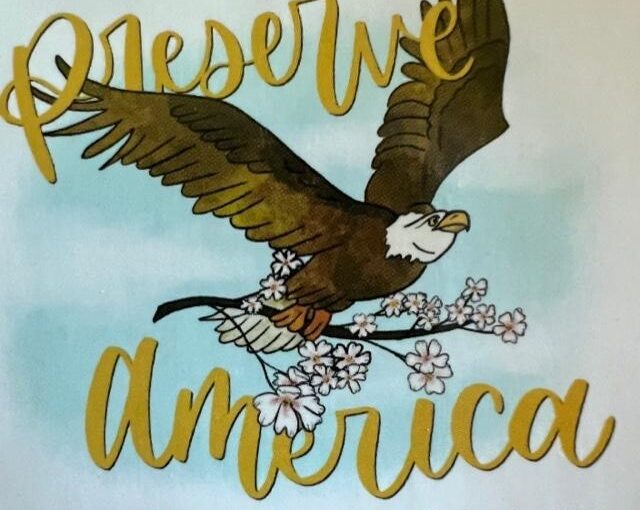 Preserve America Store – Almond Butter Chocolate Chip Cookies (1/2 dz)
