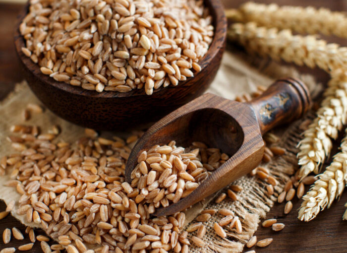 Organic Whole Spelt Flour – per lb
