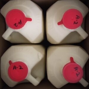 MILK BUNDLE - A2/A2