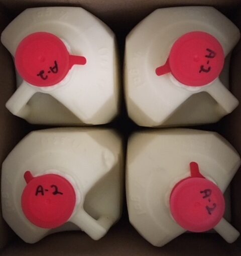 MILK BUNDLE – A2/A2